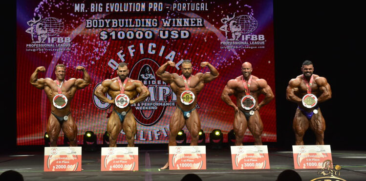 Mr Big Evolution Pro 2022